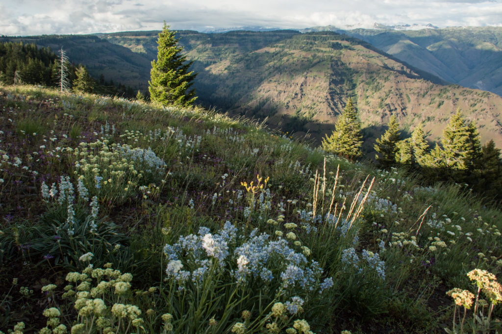 Oregon, Snake River