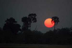 Sunrise, Moremi National Park, Botswana