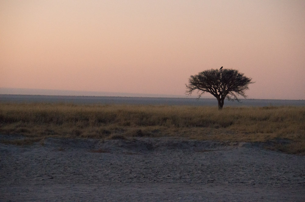 Magkadigkadi Salt Pans, Botswana, Africa