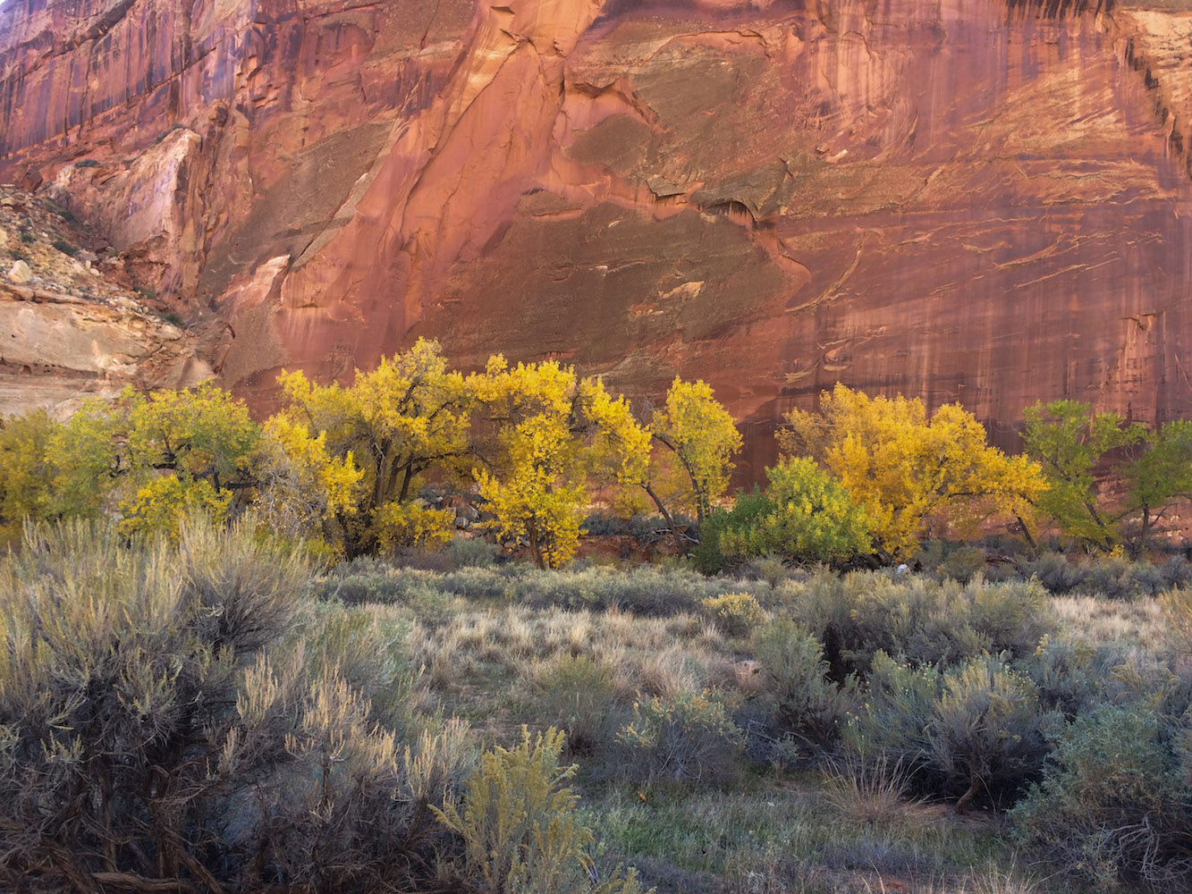 Utah, fall, fall color, redrock