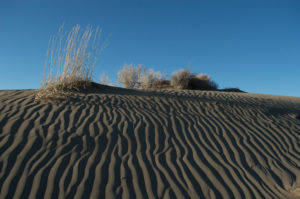 Oregon, dunes