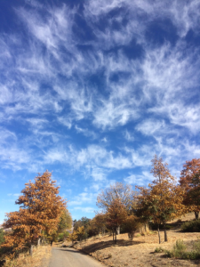fall colors with sky