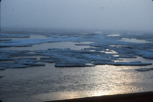 Cooper Island, Alaska, Arctic, polar