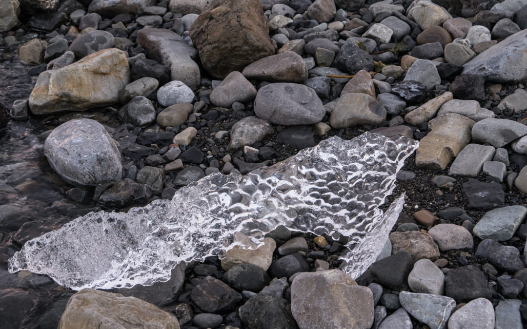 Musings in the ice