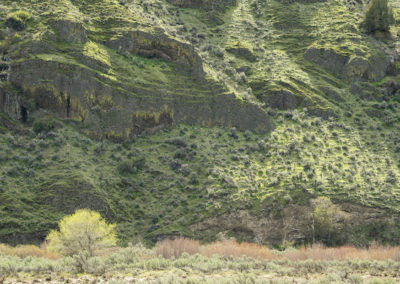 John Day Canyon, Oregon, spring,
