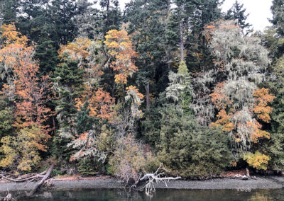 Sooke, British Columbia, fall, autumn, fall color