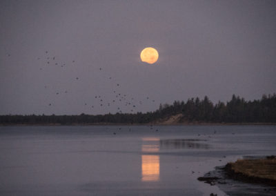 Neahkahnie, Oregon, Nehalem River, Oregon coast, moonset