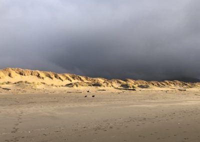 dunes, beach, coast, sun, clouds