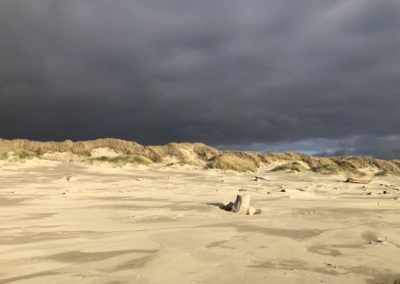 oregon, oregon coast, dunes, sand dunes, spring, lighting