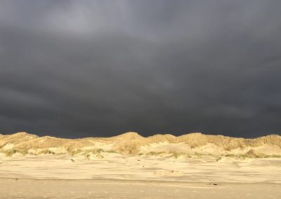 oregon, oregon coast, dunes, sand dunes, spring, lighting