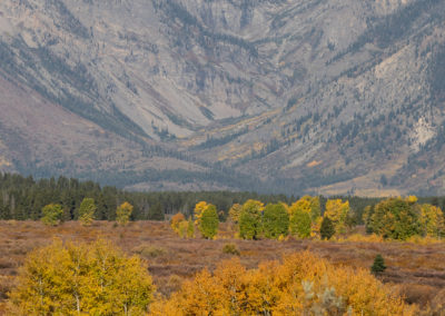 Wyoming, Grand Teton, Buffalo River, autumn, fall colors, leaf peepers, peaf leepers