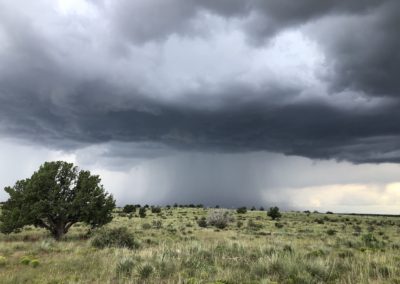 New Mexico, monsoon, thunderstorm, clouds, landscape, sunset, evening sky, light