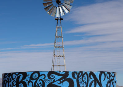 New Mexico, graffiti, cats, kittens, windmills, water tank, landscape
