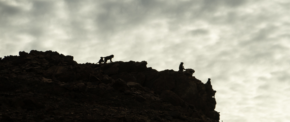 Africa, baboons, Namibia, silhouette, road trip, clouds, sky, landscape, outcrop