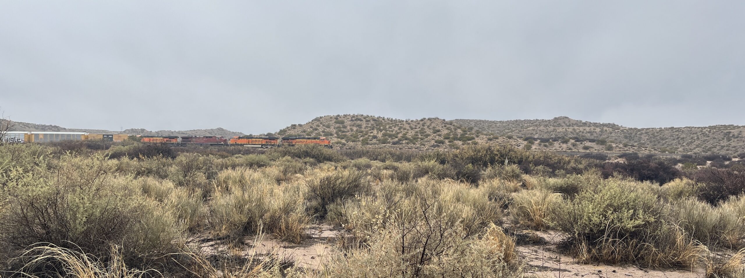 things-you-find-in-the-desert-the-road-not-taken-enough