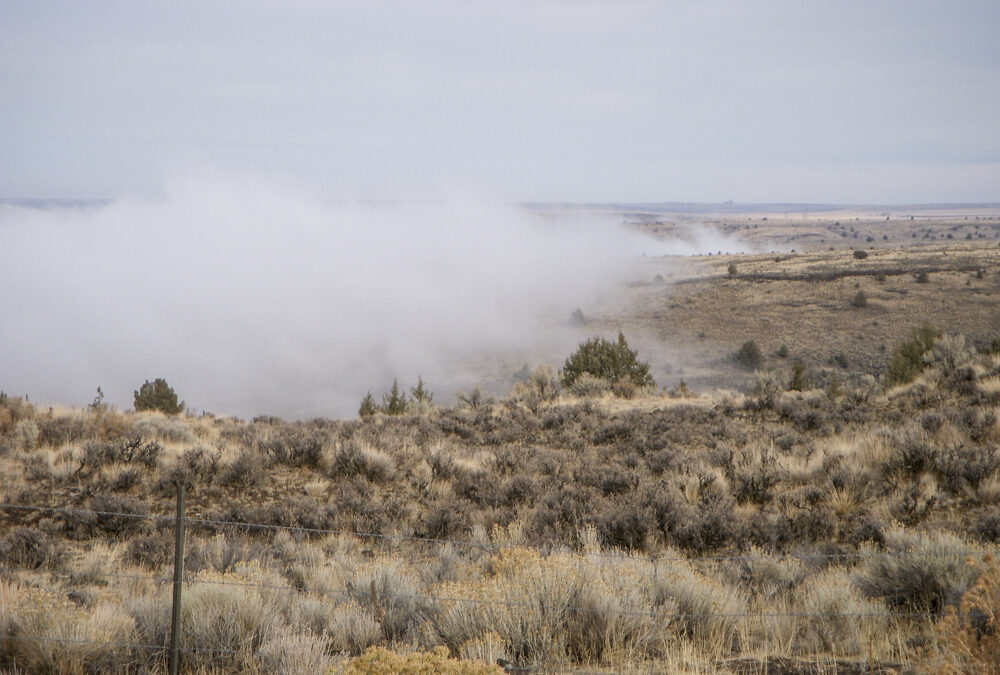 Deschutes River, Oregon, sagebrush, fog, rain, The Road not Taken Enough