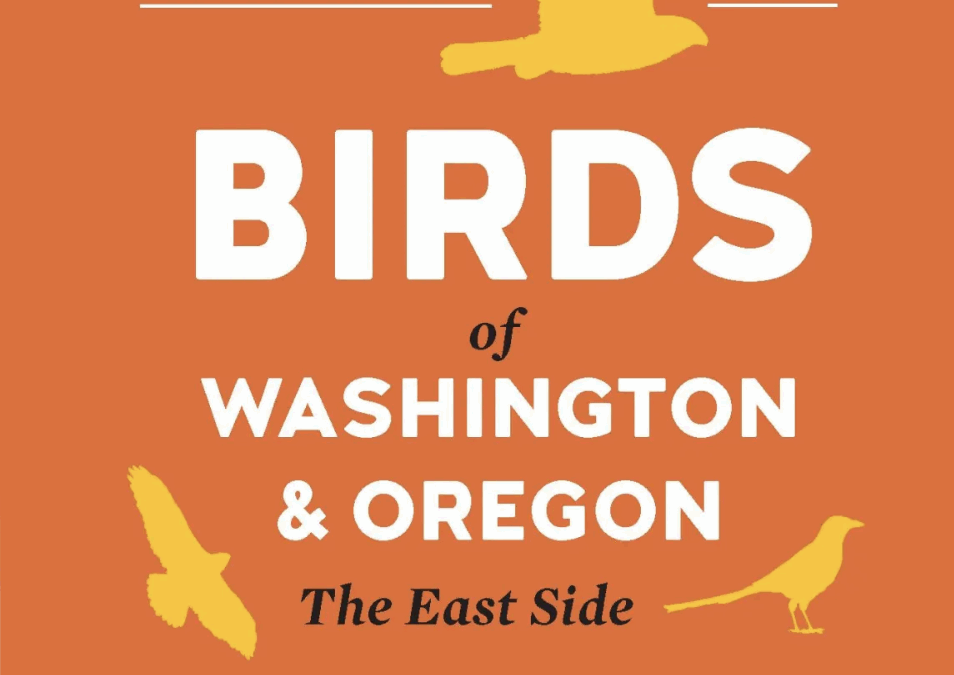 Oh, yeah, and this happened…